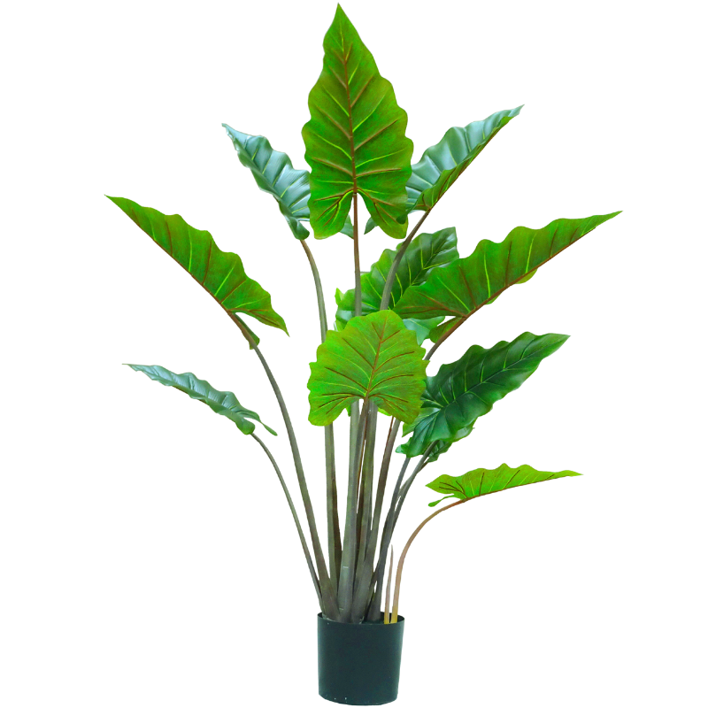 Растение искусственное дерево алоказия