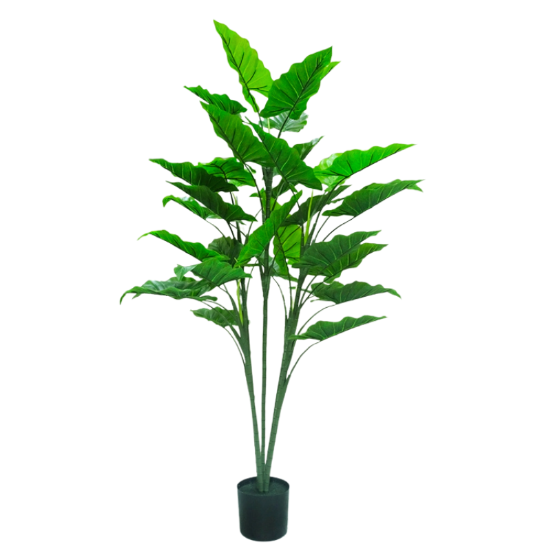 Растение искусственное дерево алоказия