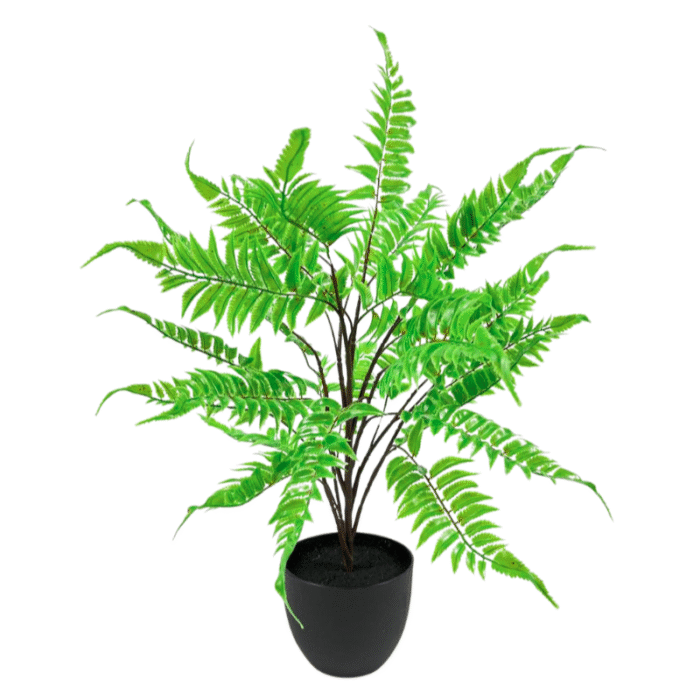 Artificial plant fern