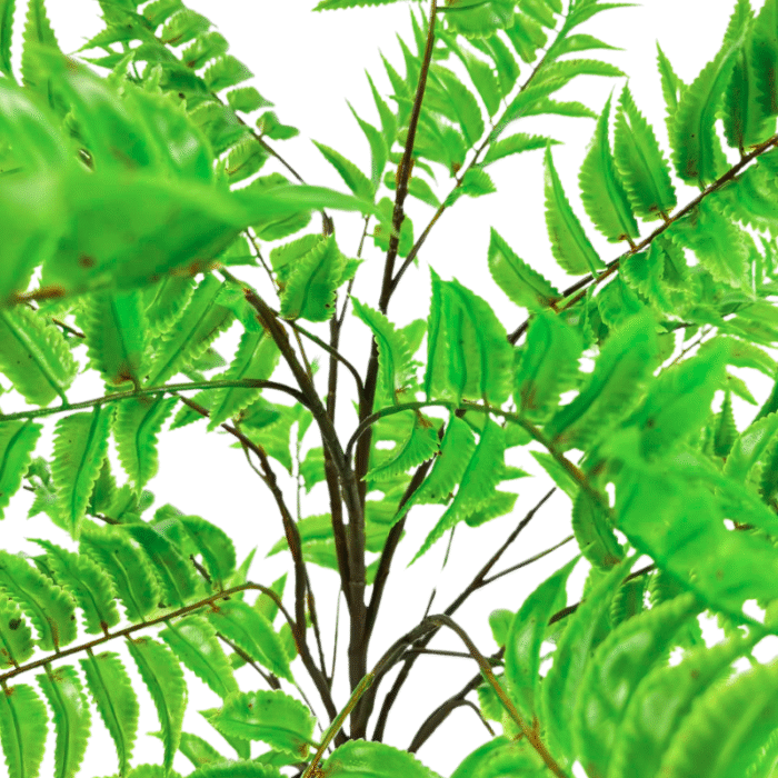Artificial plant fern