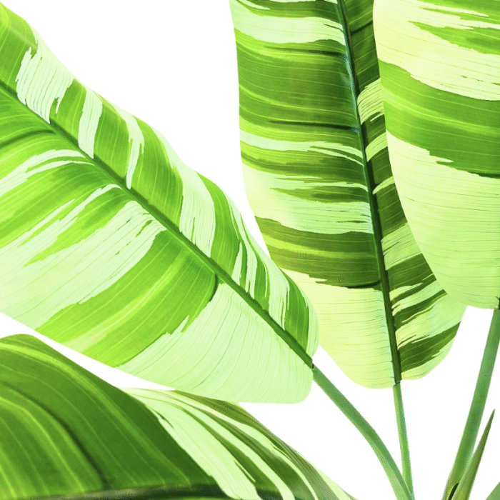 Artificial plant banana palm variegated