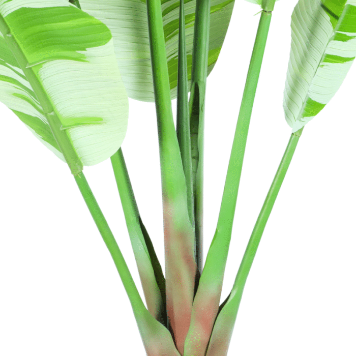 Artificial plant banana palm variegated