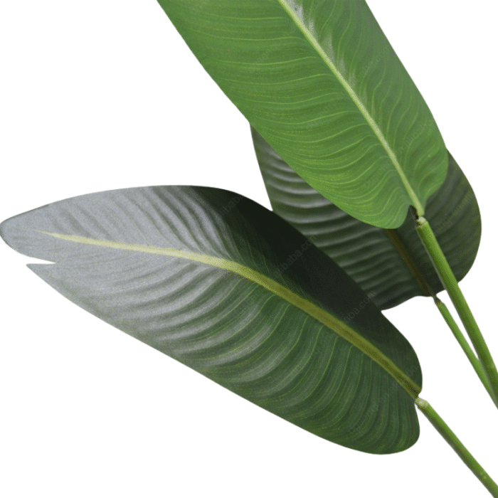 Artificial Plant Banana Palm