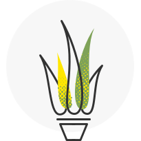 Готовые решения