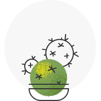 Профессиональный взгляд