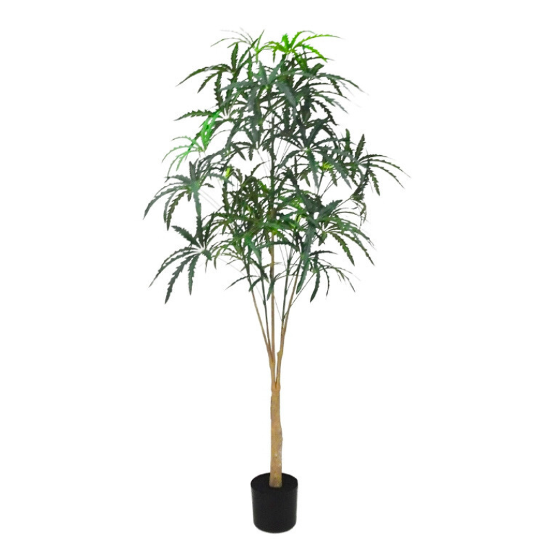 Растение искусственное дизиготека / плерандра изящная