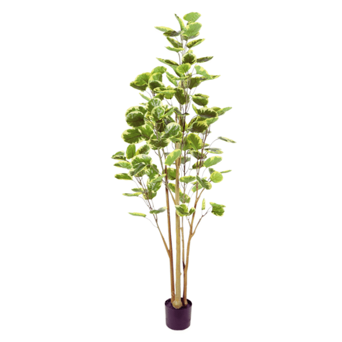 Artificial plant ficus lyrata variegated