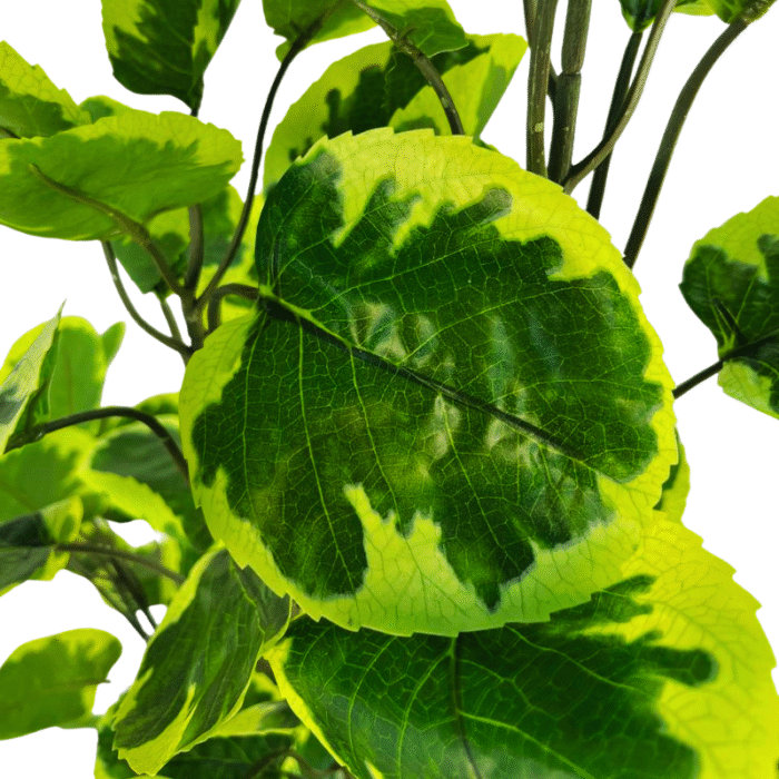 Artificial plant ficus lyrata variegated