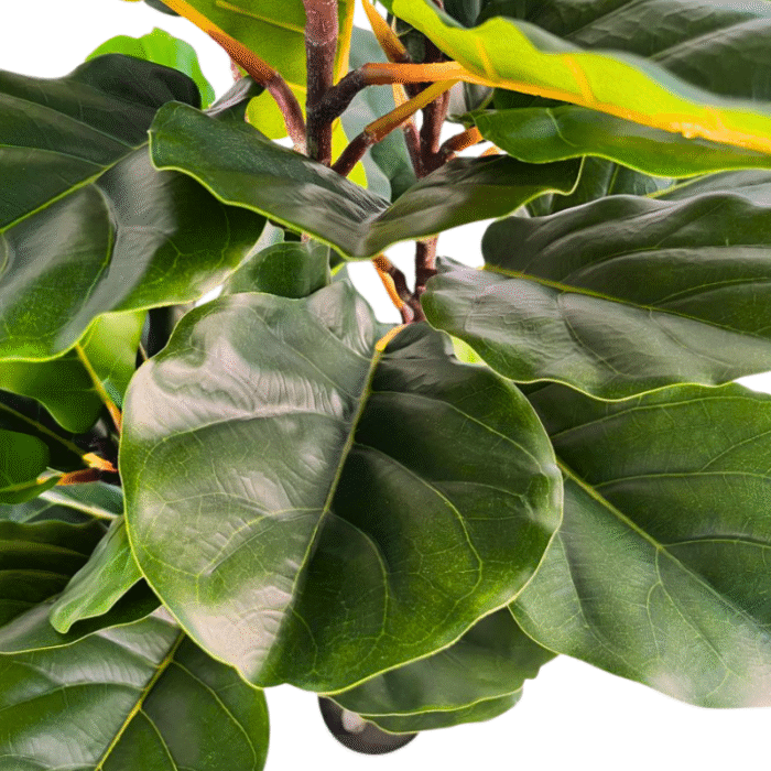 Artificial plant ficus lyrata