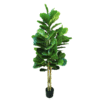 Artificial plant ficus lyrata