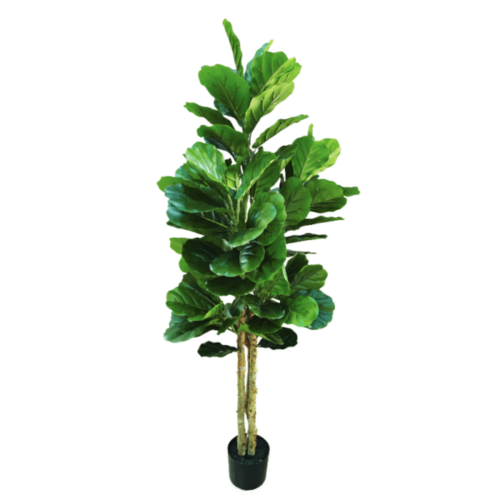 Artificial plant ficus lyrata