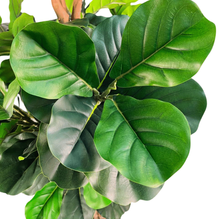 Artificial plant ficus lyrata