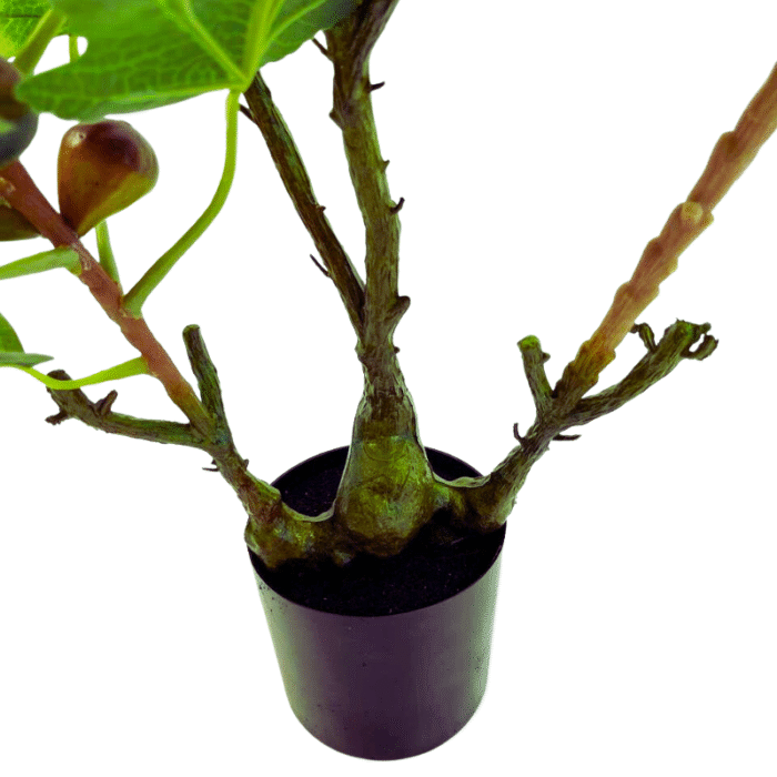 Artificial Fig Tree Plant (Fig Tree) with Fruits