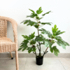 Artificial Fig Tree Plant (Fig Tree) with Fruits