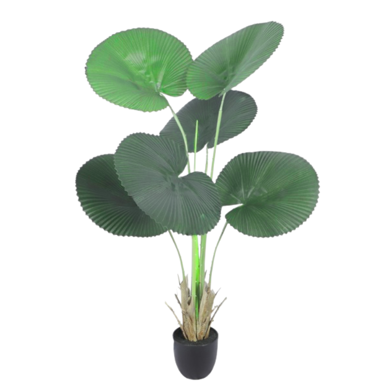 Растение искусственное пальма ликуала крупная