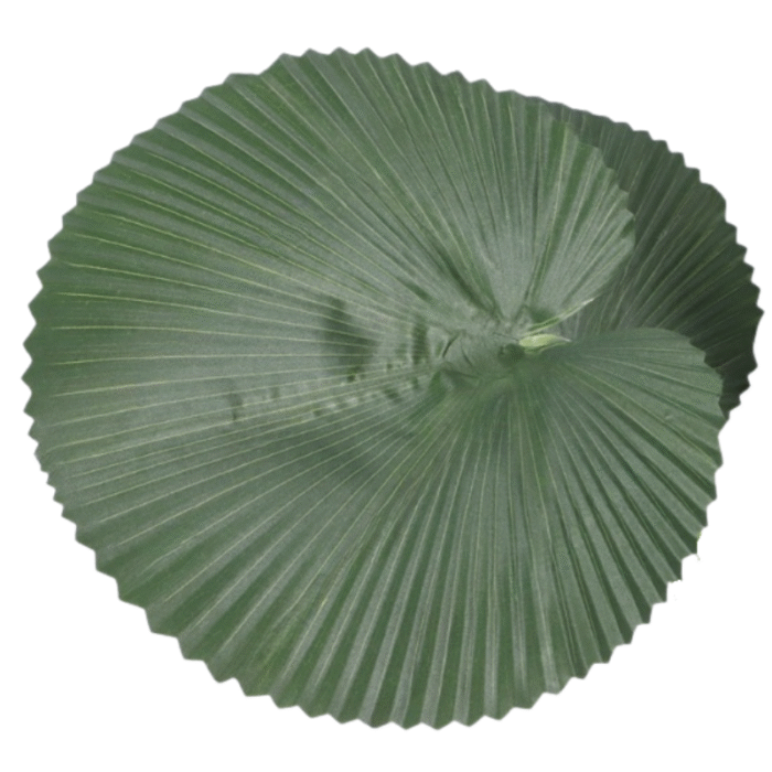 Artificial plant palm licuala large