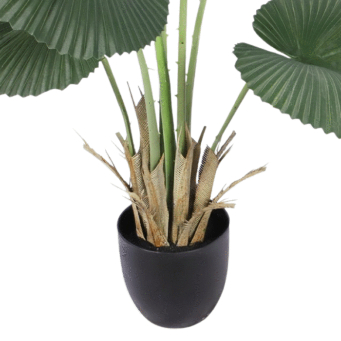 Artificial plant palm licuala large