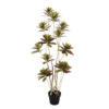 Artificial plant codiaeum (croton)