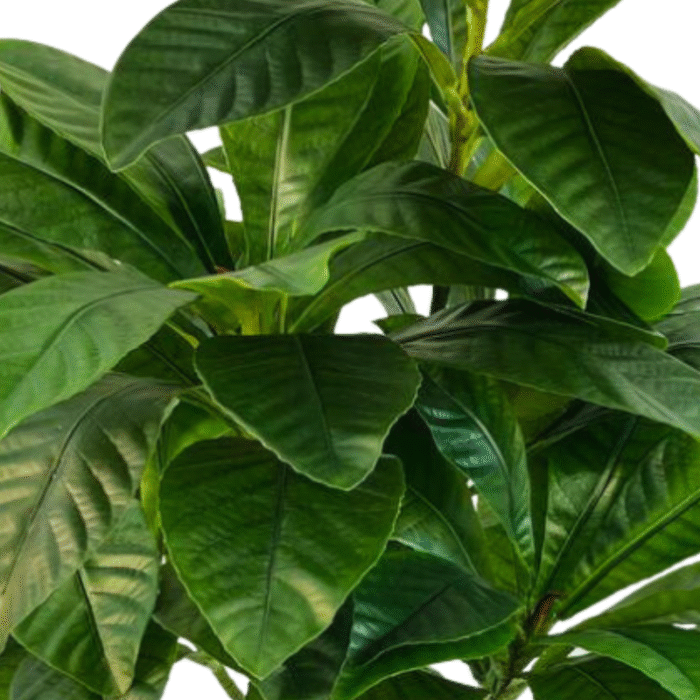 Artificial plant plumeria (frangipani)