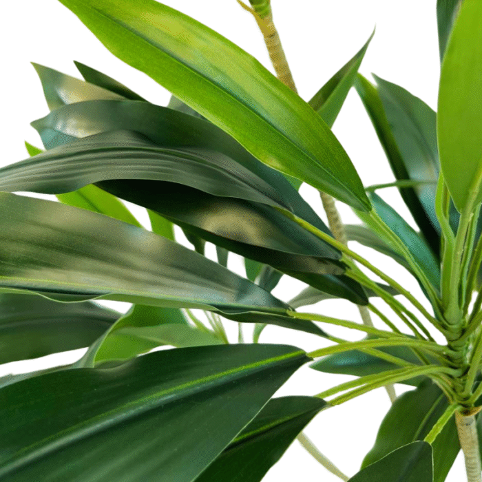 Artificial plant Cordyline