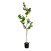 Artificial plant camellia japonica white