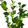 Artificial plant camellia japonica white