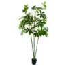 Artificial plant pachira
