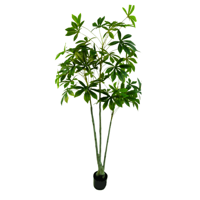 Artificial plant pachira