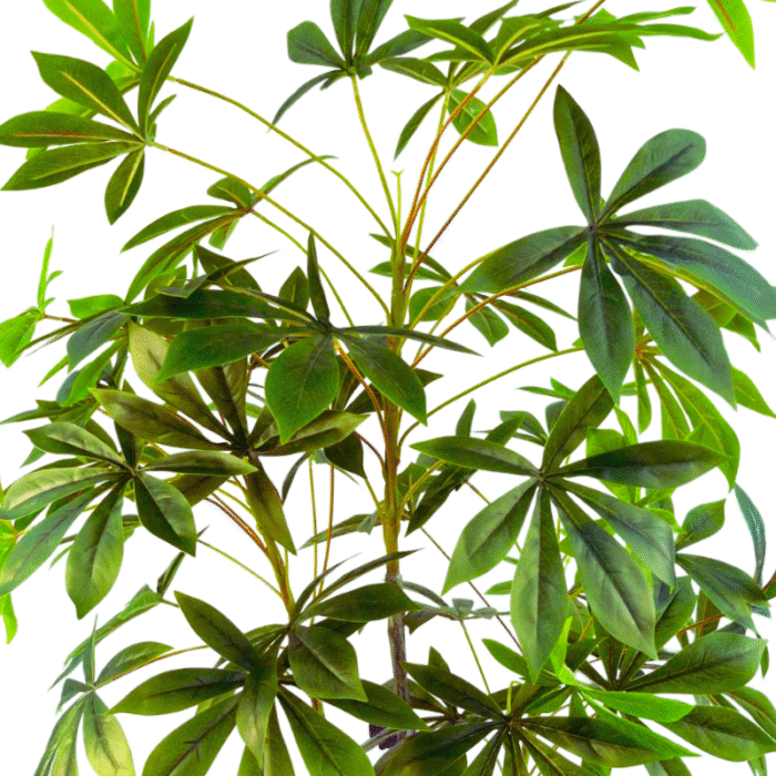 Artificial plant pachira