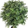 Artificial plant boxwood in the form of a ball on a standard