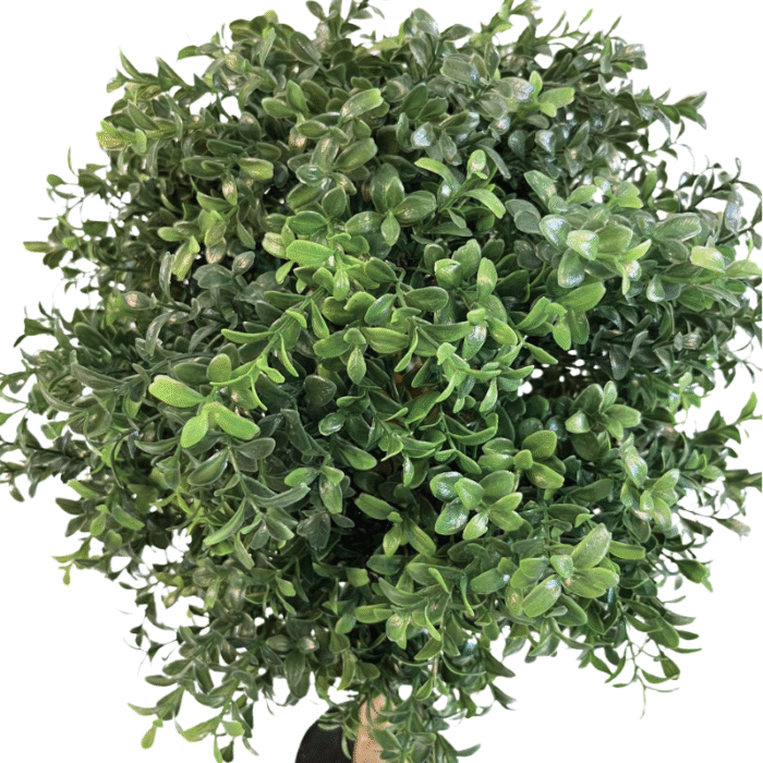 Artificial plant boxwood in the form of a ball on a standard