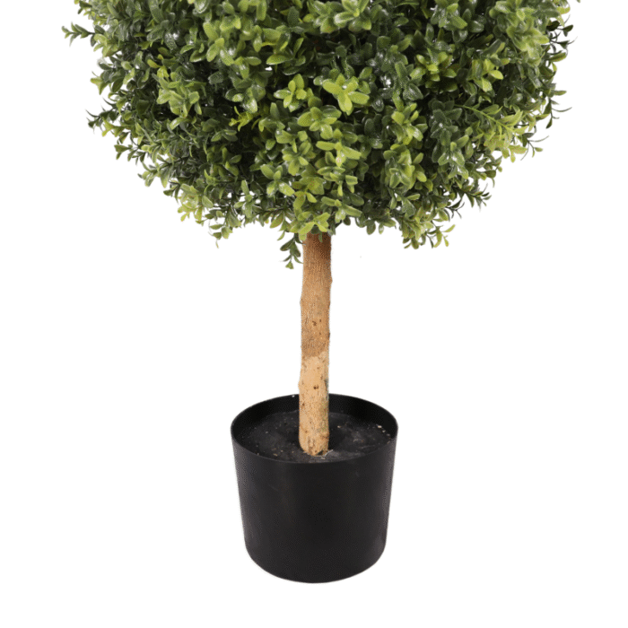 Artificial plant boxwood in the shape of a cone