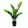 Artificial plant zamioculcas (money tree)