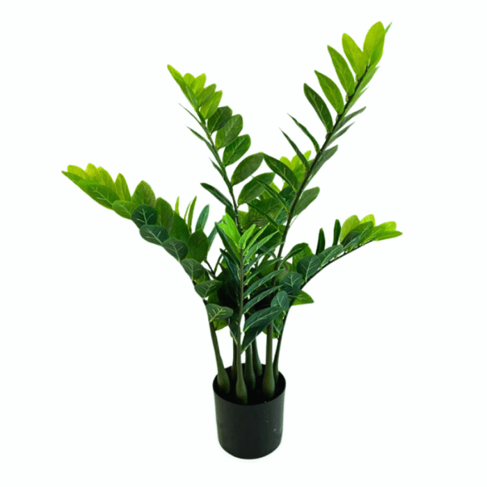 Artificial plant zamioculcas (money tree)