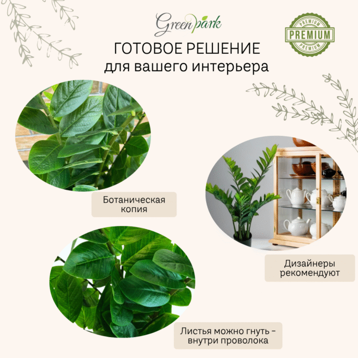 Artificial plant zamioculcas (money tree)