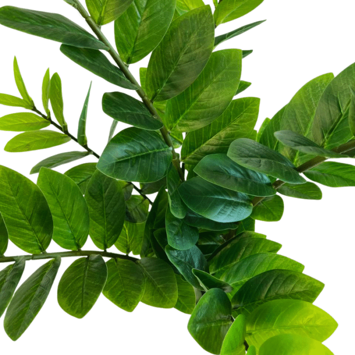 Artificial plant zamioculcas (money tree)