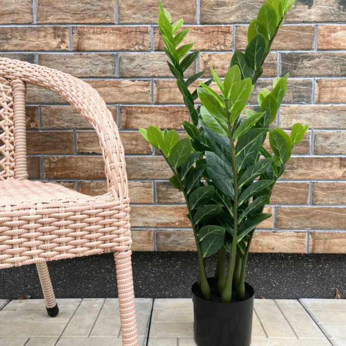 Artificial plant zamioculcas (money tree)