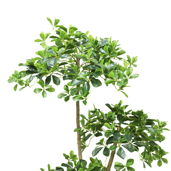 Artificial plant Schefflera arborescens (Arboricola)