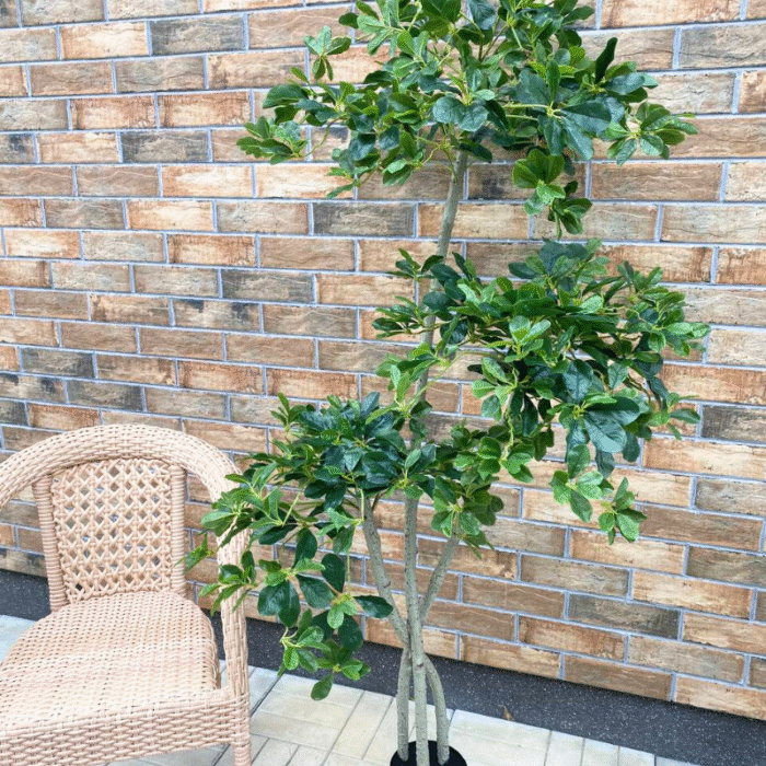 Artificial plant Schefflera arborescens (Arboricola)