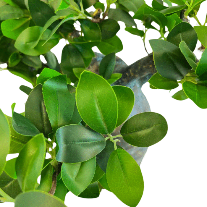 Artificial plant Bonsai baobab (with moss)
