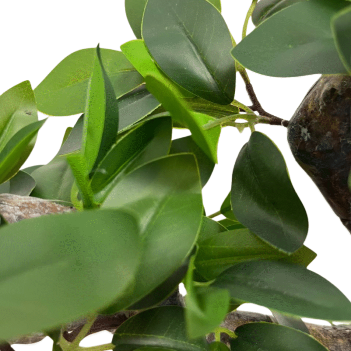 Artificial plant Bonsai baobab (with moss)