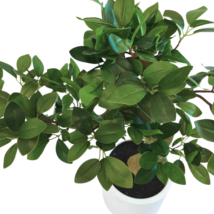 Artificial plant Bonsai ficus