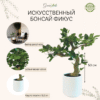 Растение искусственное Бонсай фикус
